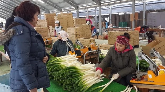 Làm Nông Nghiệp ở Nhật Bản rất tiên tiến và phát triển